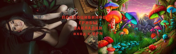 прущий лед Аркадак