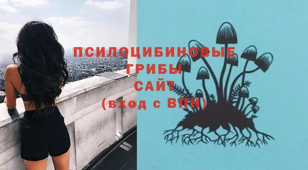 трава Армянск